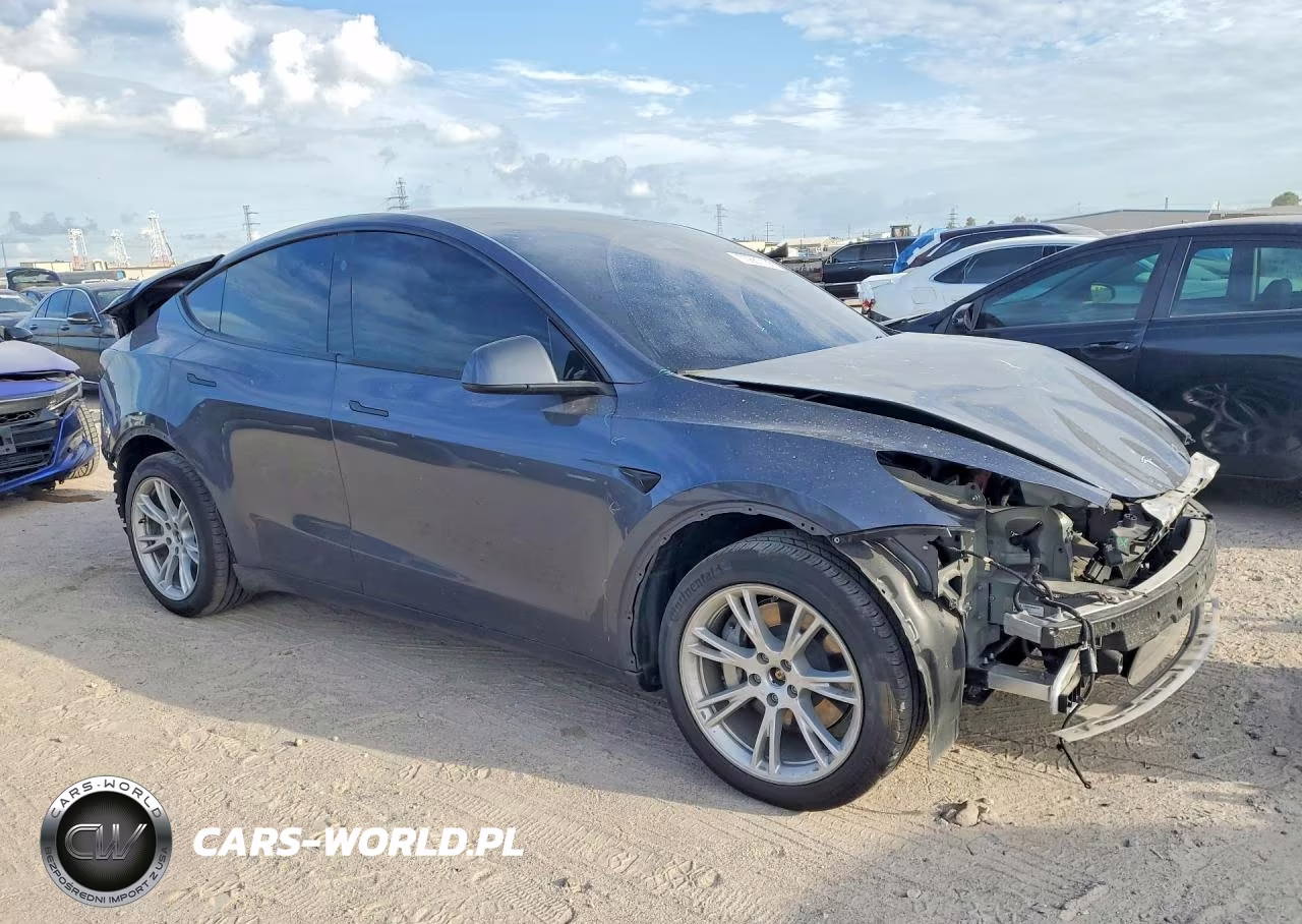 2023 Tesla Model Y VIN:7SAYGDEEXPA193263 - 4