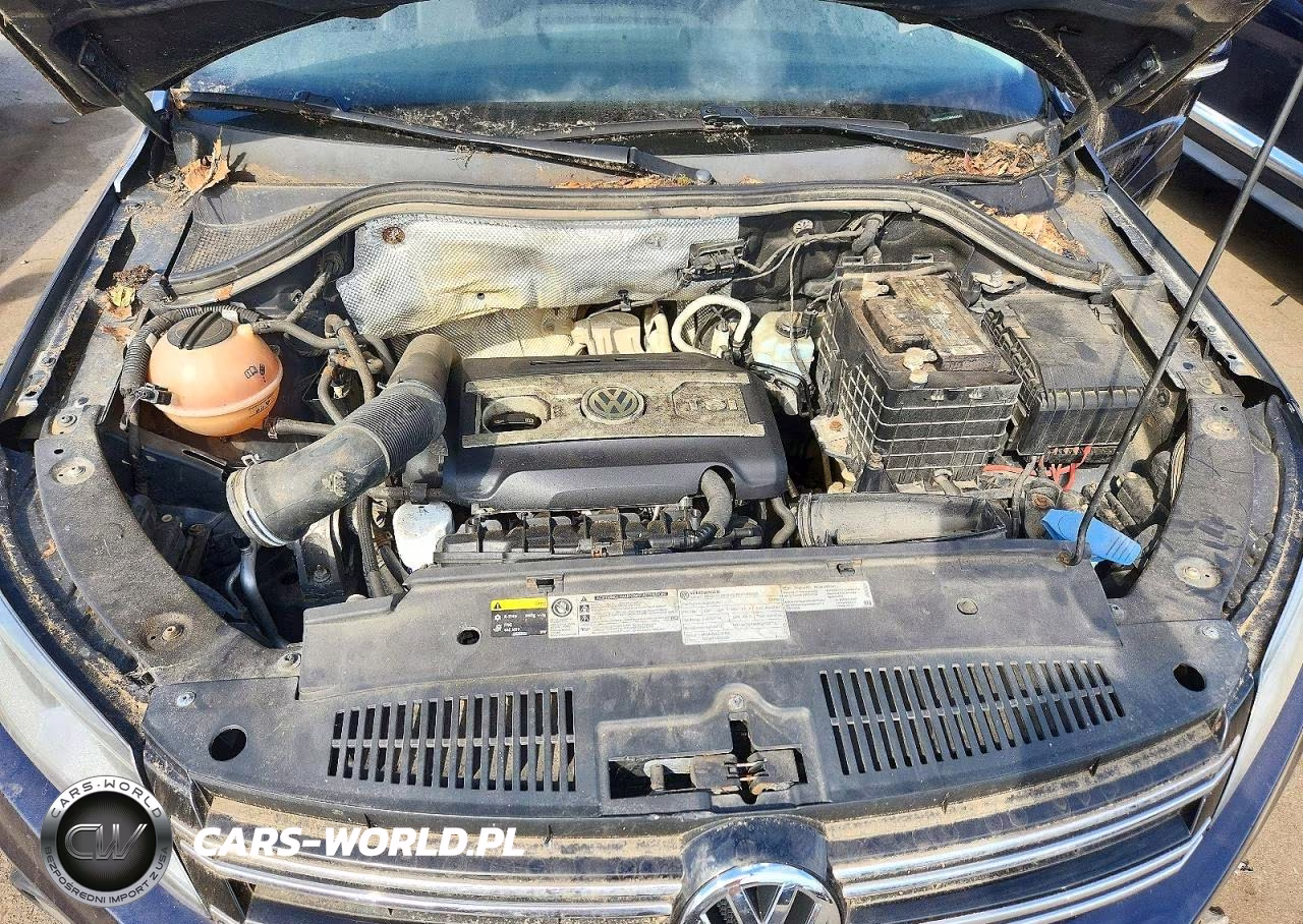 2013 Volkswagen Tiguan S VIN:WVGBV3AXXDW599043 - 11