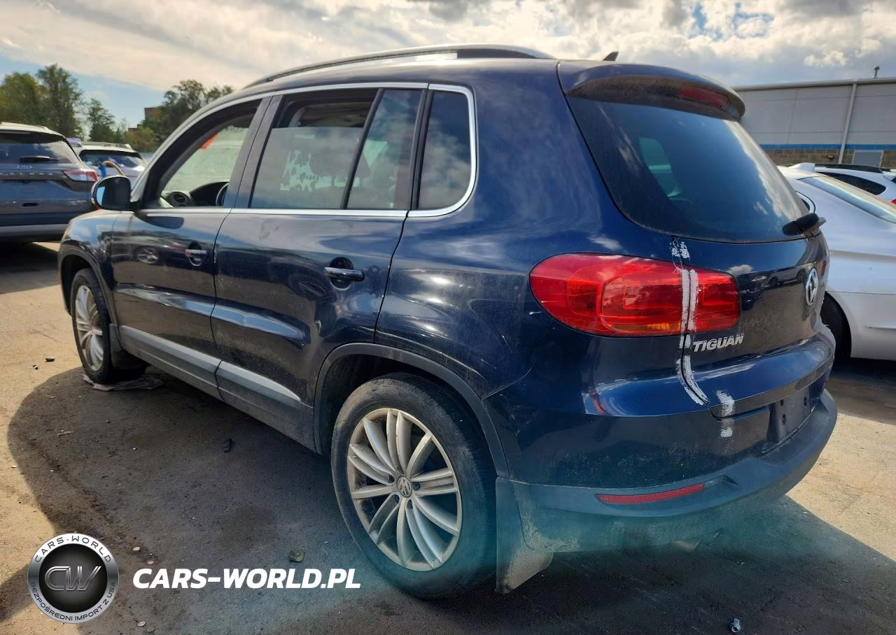 2013 Volkswagen Tiguan S VIN:WVGBV3AXXDW599043 - 2