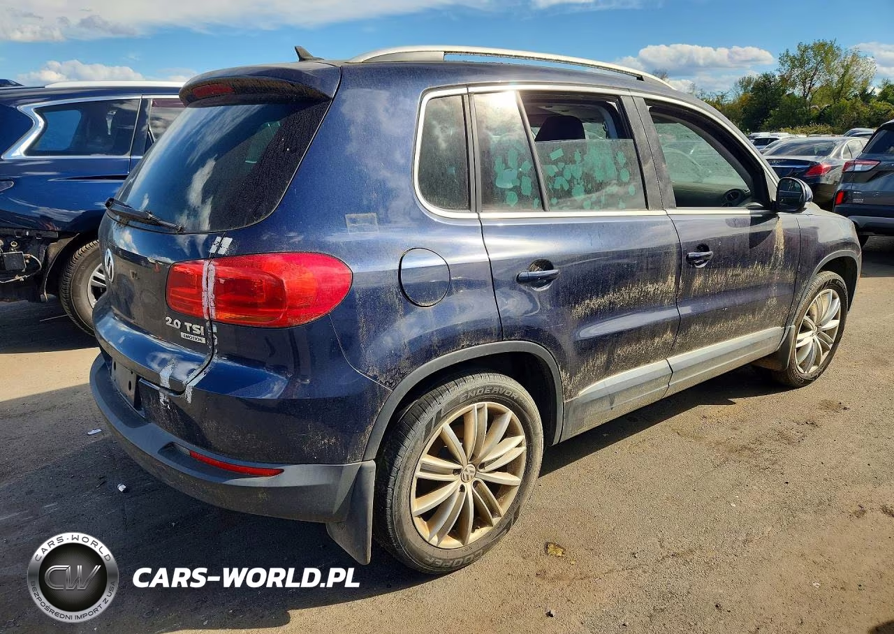 2013 Volkswagen Tiguan S VIN:WVGBV3AXXDW599043 - 3