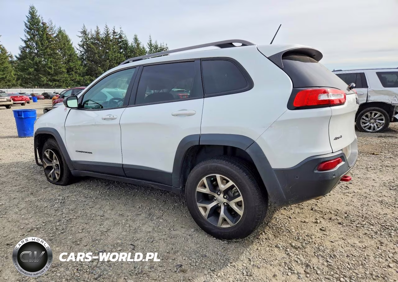 2014 Jeep Cherokee Trailhawk VIN:1C4PJMBS1EW160359 - 2