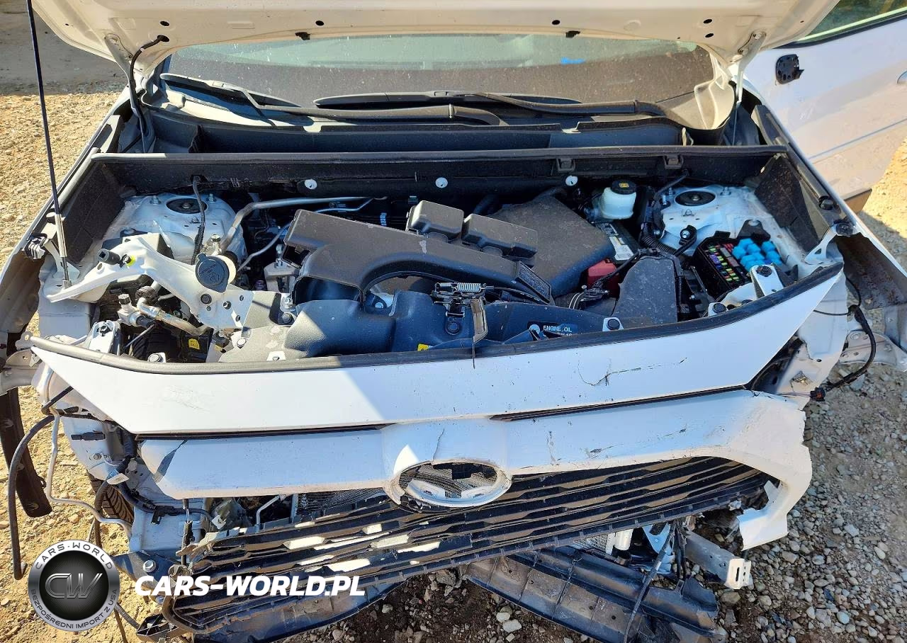 2019 Toyota Rav4 Xle VIN:2T3W1RFV5KC008982 - 12