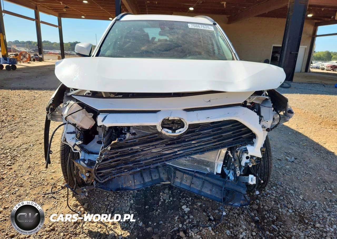 2019 Toyota Rav4 Xle VIN:2T3W1RFV5KC008982 - 5