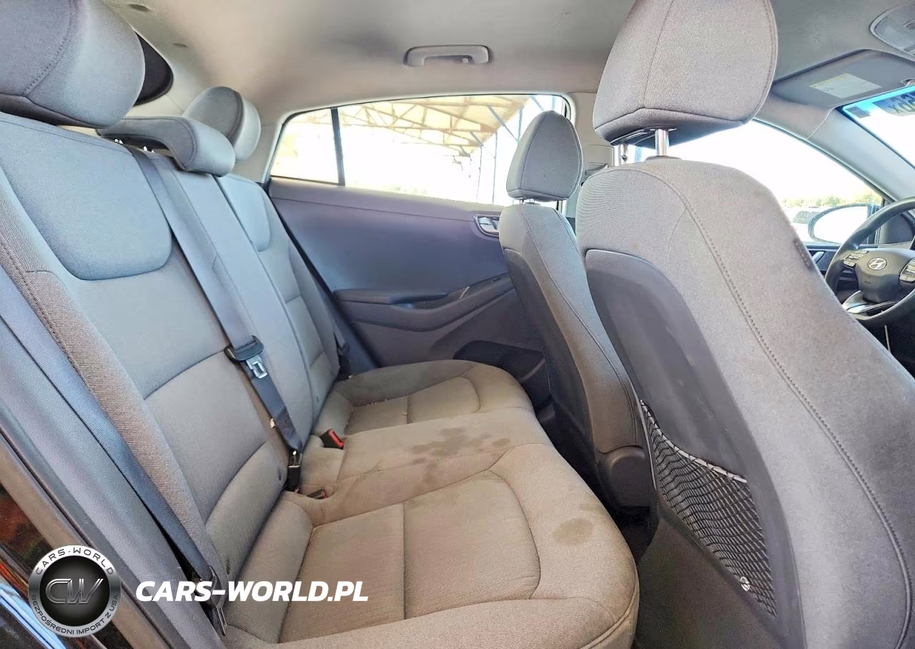 2020 Hyundai Ioniq Blue VIN:KMHC65LC1LU239063 - 10