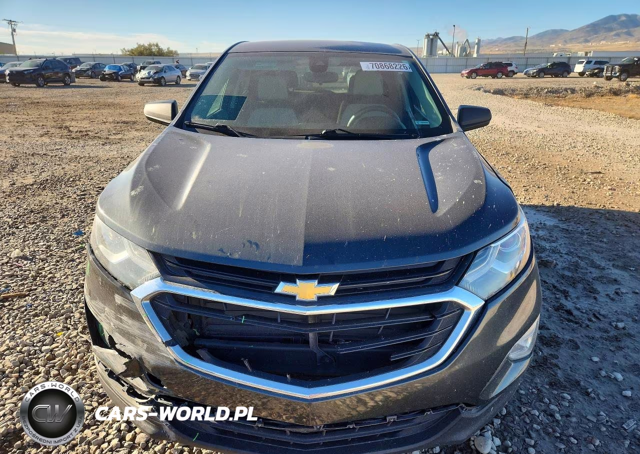 2020 Chevrolet Equinox Ls VIN:3GNAXHEV2LS646647 - 5