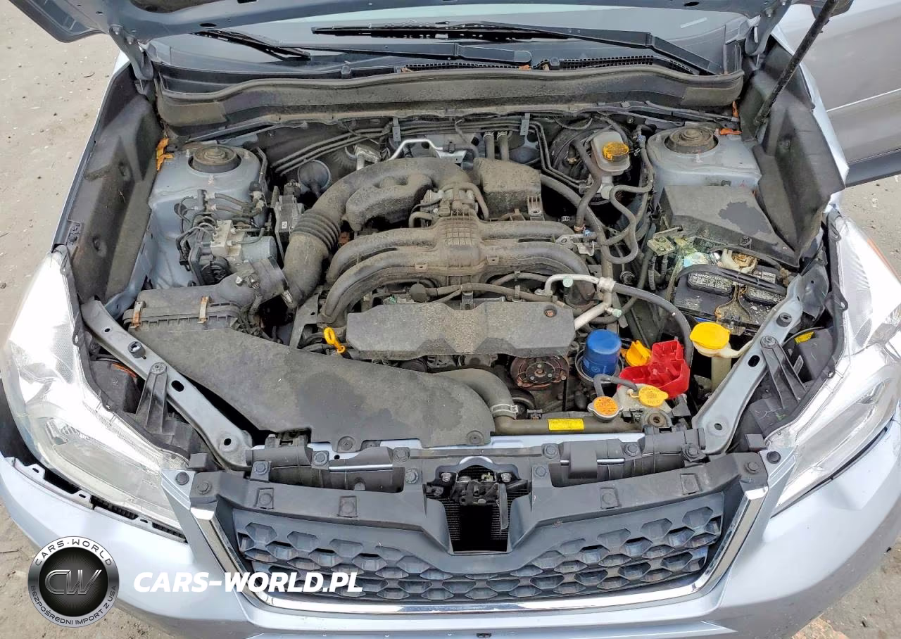 2014 Subaru Forester 2.5I Touring VIN:JF2SJAPC5EH541910 - 12