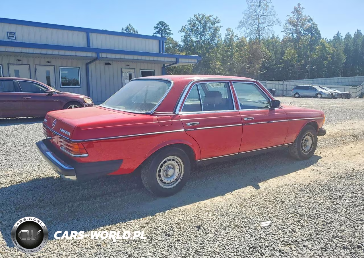 1983 Merz 300-Class VIN:WDBAB33A0DB024182 - 3