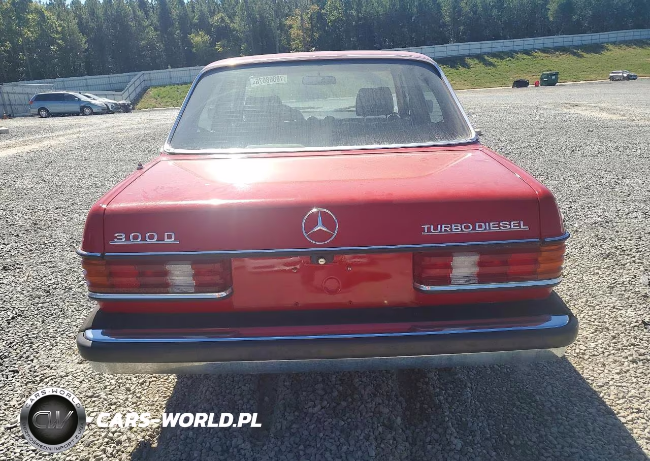 1983 Merz 300-Class VIN:WDBAB33A0DB024182 - 6