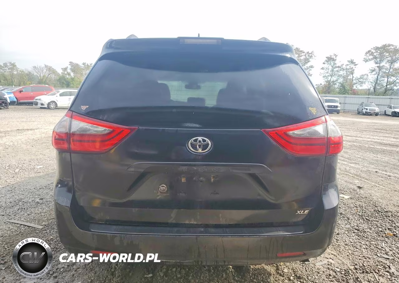2020 Toyota Sienna Xle 8-Passenger VIN:5TDYZ3DC5LS054233 - 6