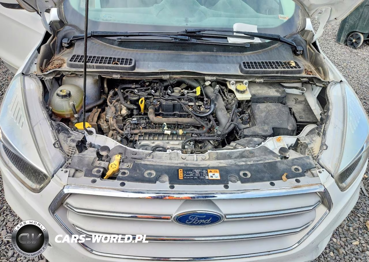 2019 Ford Escape Se VIN:1FMCU9GD3KUB81391 - 12