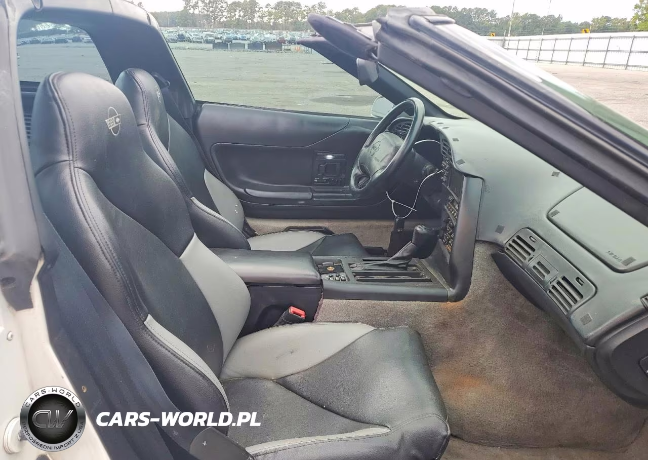 1996 Chevrolet Corvette VIN:1G1YY22P1T5108189 - 10