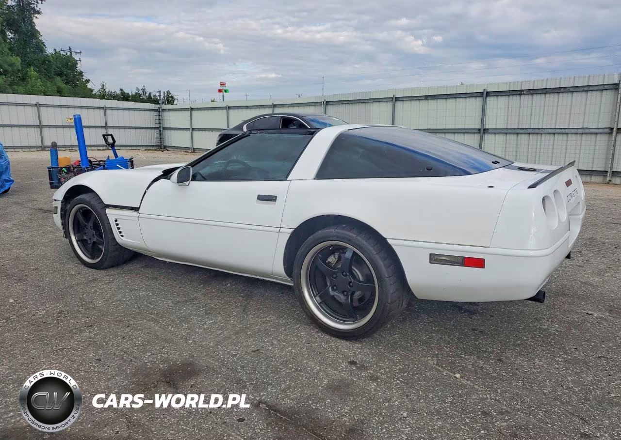 1996 Chevrolet Corvette VIN:1G1YY22P1T5108189 - 2