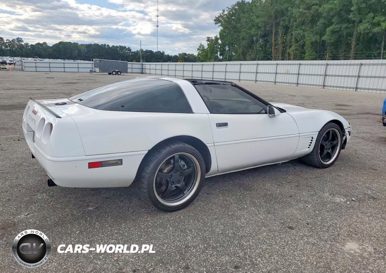 1996 Chevrolet Corvette VIN:1G1YY22P1T5108189 - 3