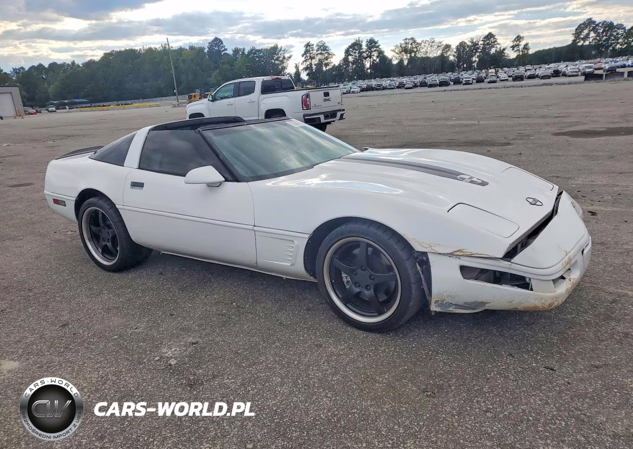 1996 Chevrolet Corvette VIN:1G1YY22P1T5108189 - 4