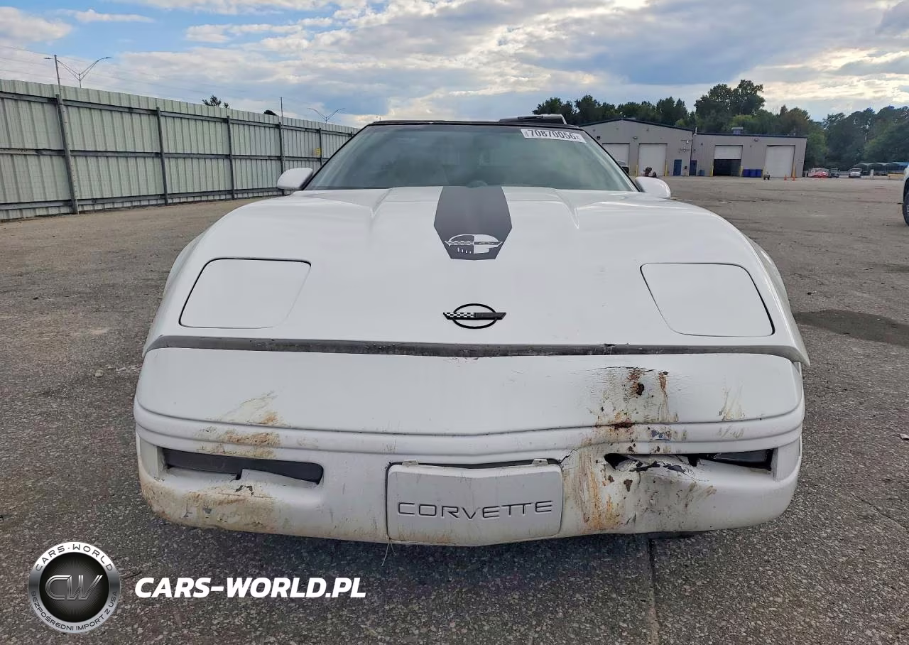 1996 Chevrolet Corvette VIN:1G1YY22P1T5108189 - 5