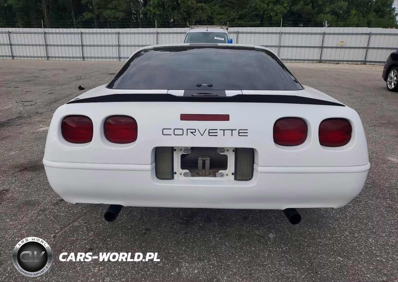 1996 Chevrolet Corvette VIN:1G1YY22P1T5108189 - 6