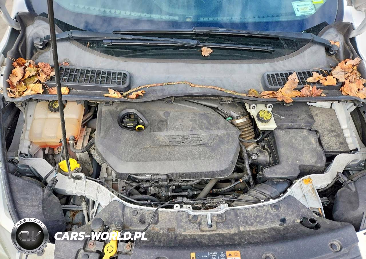2014 Ford Escape Se VIN:1FMCU9GX1EUD95147 - 11