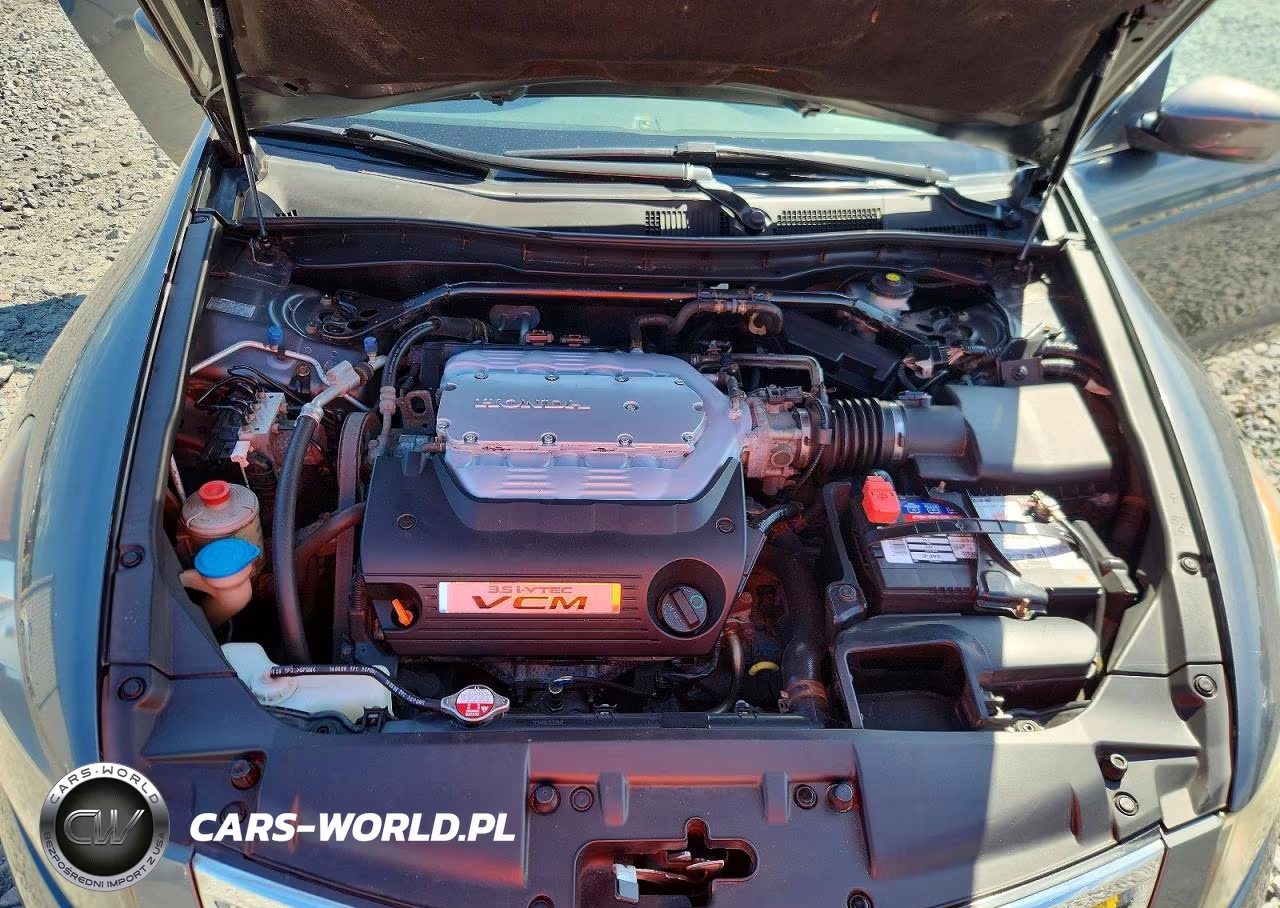 2010 Honda Accord Exl VIN:1HGCP3F89AA001507 - 11