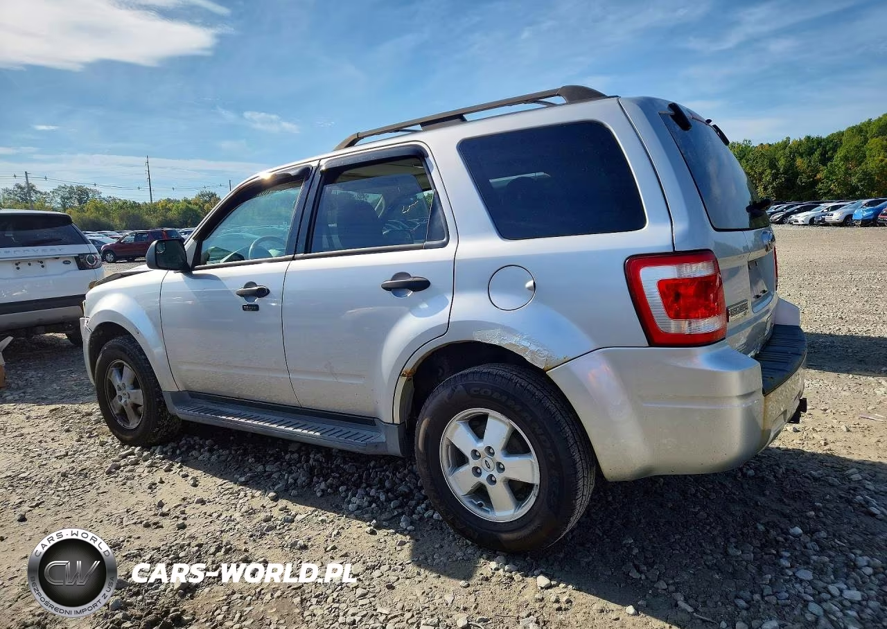 2011 Ford Escape Xlt VIN:1FMCU9DG1BKB09034 - 2