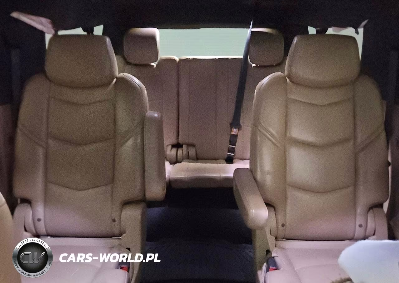 2018 Cadillac Escalade Esv Platinum VIN:1GYS3KKJXJR242478 - 10