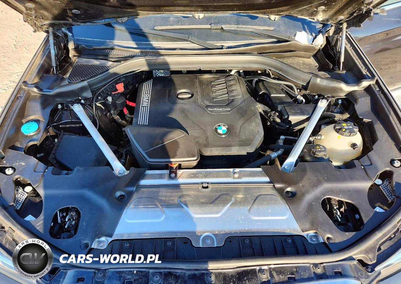 2024 BMW X3 Sdrive30I VIN:5UX43DP07R9U21663 - 12