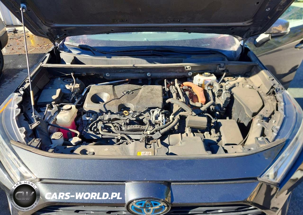 2019 Toyota Rav4 Hybrid Xle VIN:2T3RWRFVXKW006819 - 12
