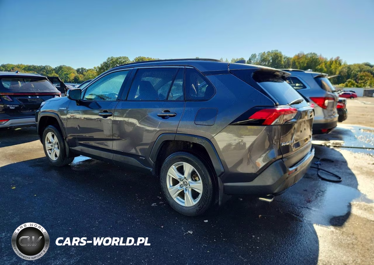 2019 Toyota Rav4 Hybrid Xle VIN:2T3RWRFVXKW006819 - 2