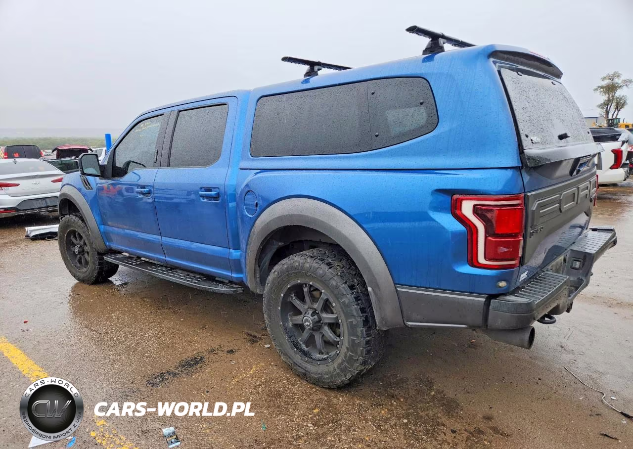 2019 Ford F150 Raptor VIN:1FTFW1RG7KFC86380 - 2