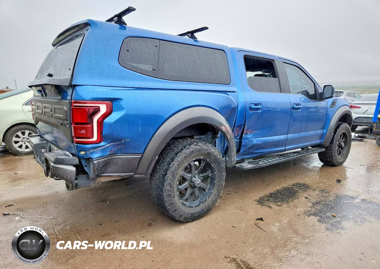 2019 Ford F150 Raptor VIN:1FTFW1RG7KFC86380 - 3