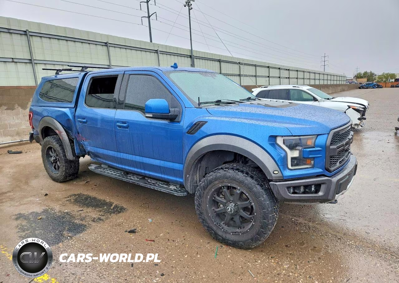 2019 Ford F150 Raptor VIN:1FTFW1RG7KFC86380 - 4