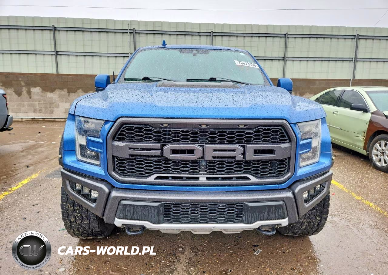 2019 Ford F150 Raptor VIN:1FTFW1RG7KFC86380 - 5