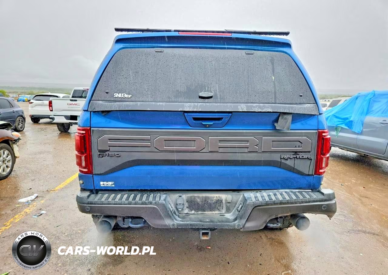 2019 Ford F150 Raptor VIN:1FTFW1RG7KFC86380 - 6