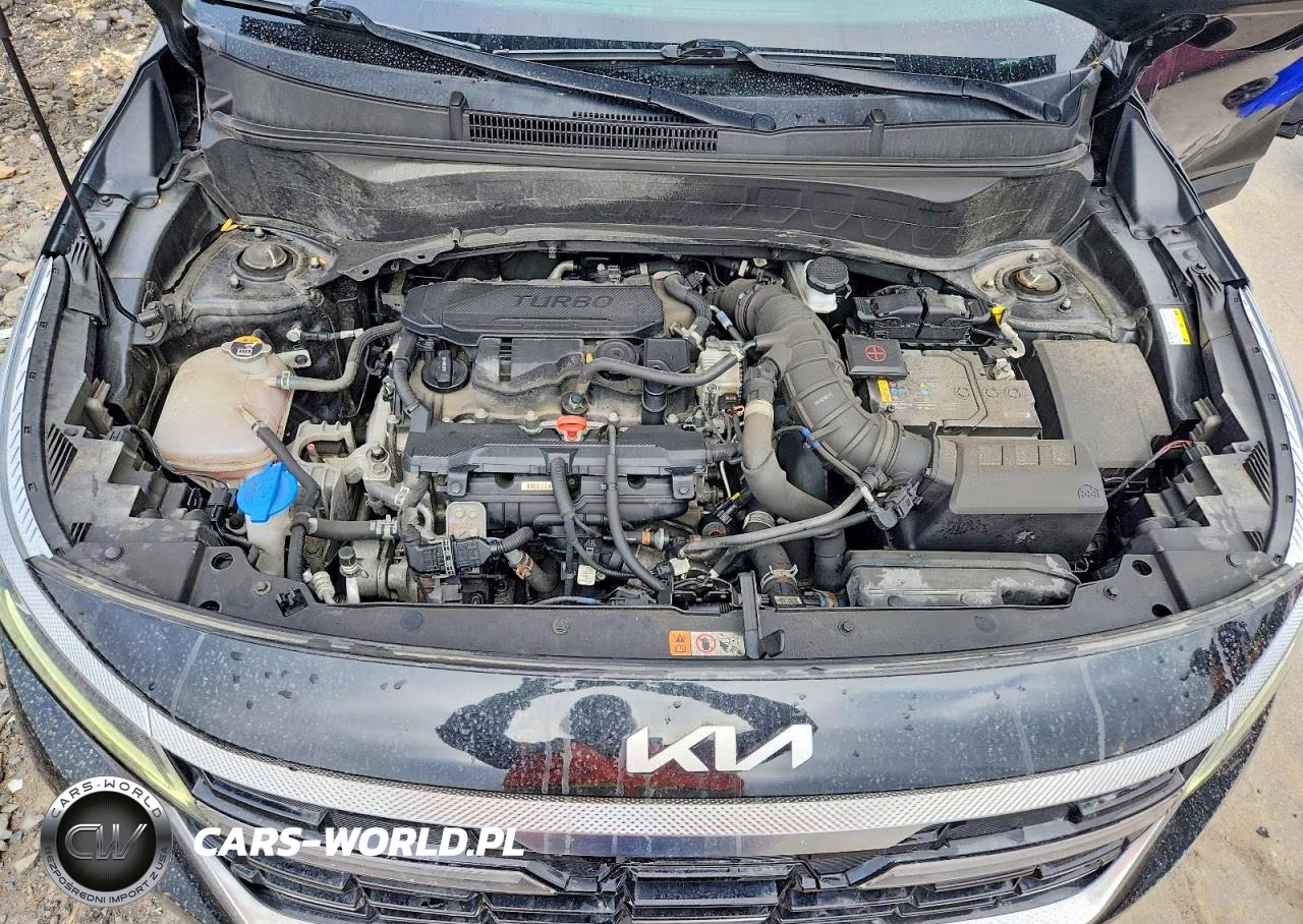 2024 Kia Seltos Sx VIN:KNDETCA73R7516223 - 12