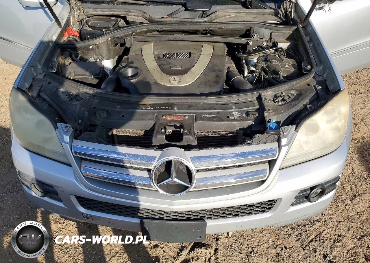 2009 Mercedes-Benz Gl 450 4Matic VIN:4JGBF71E29A481365 - 12