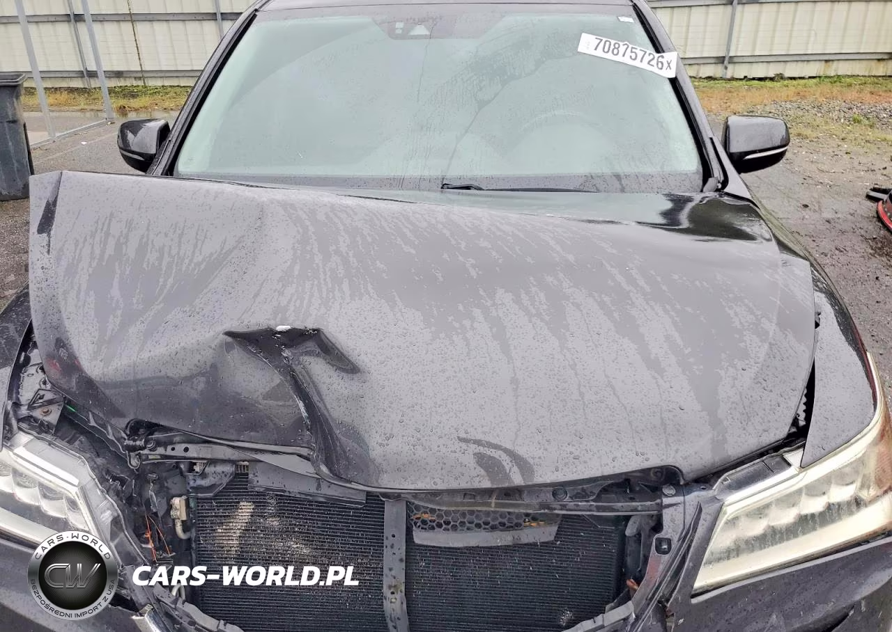 2016 Acura Mdx Technology VIN:5FRYD4H48GB040522 - 11