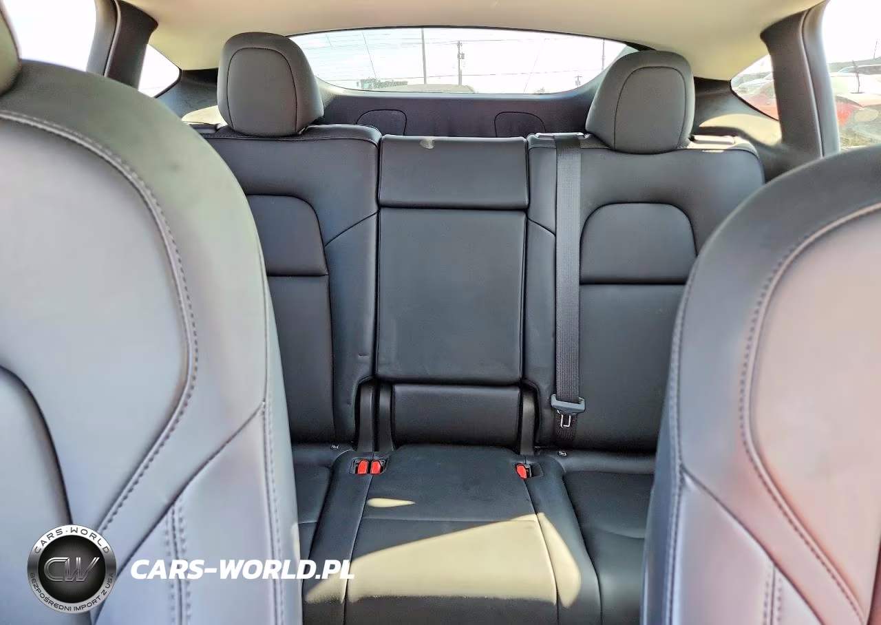 2023 Tesla Model Y VIN:7SAYGDEE8PF639140 - 10