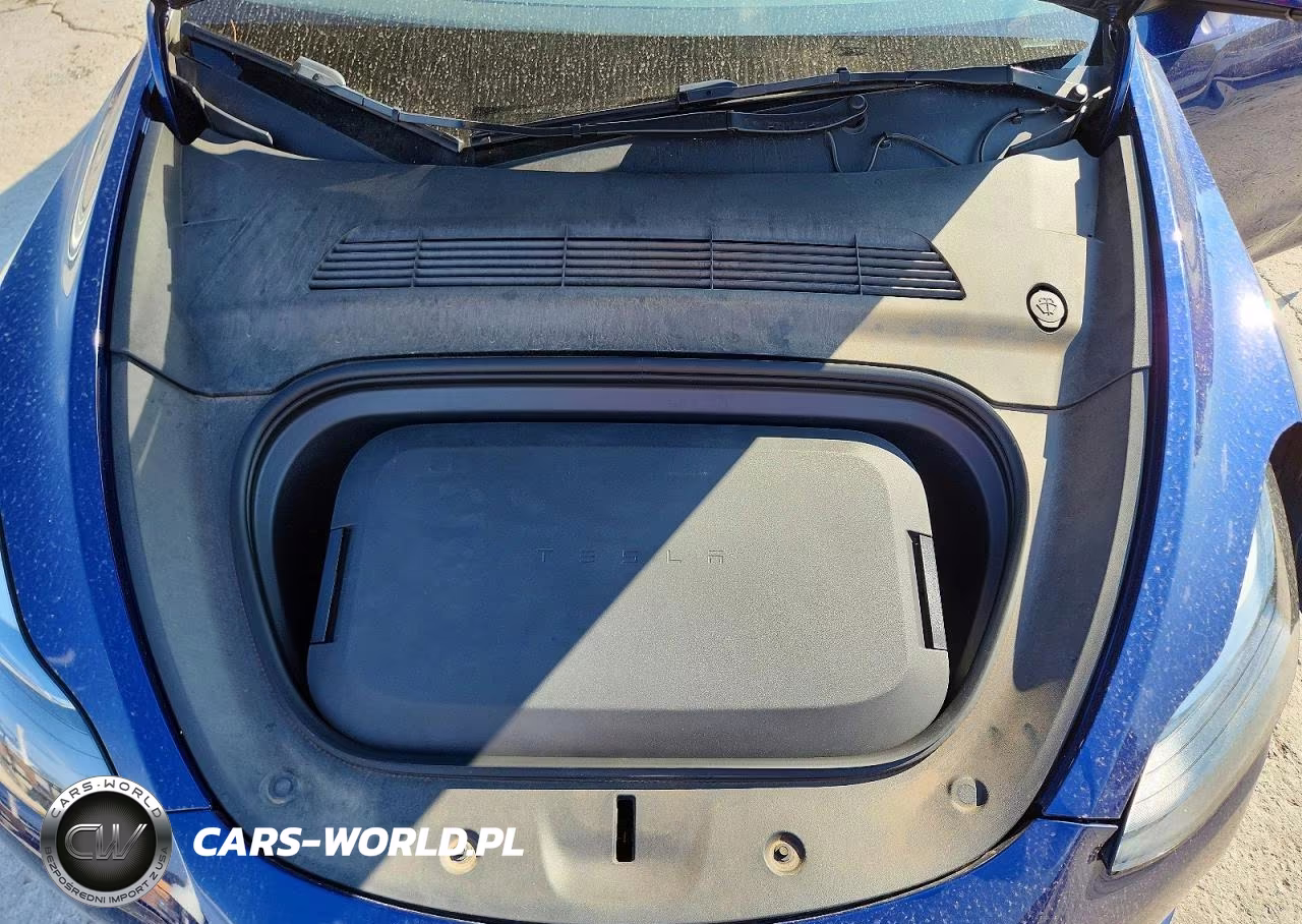 2023 Tesla Model Y VIN:7SAYGDEE8PF639140 - 12