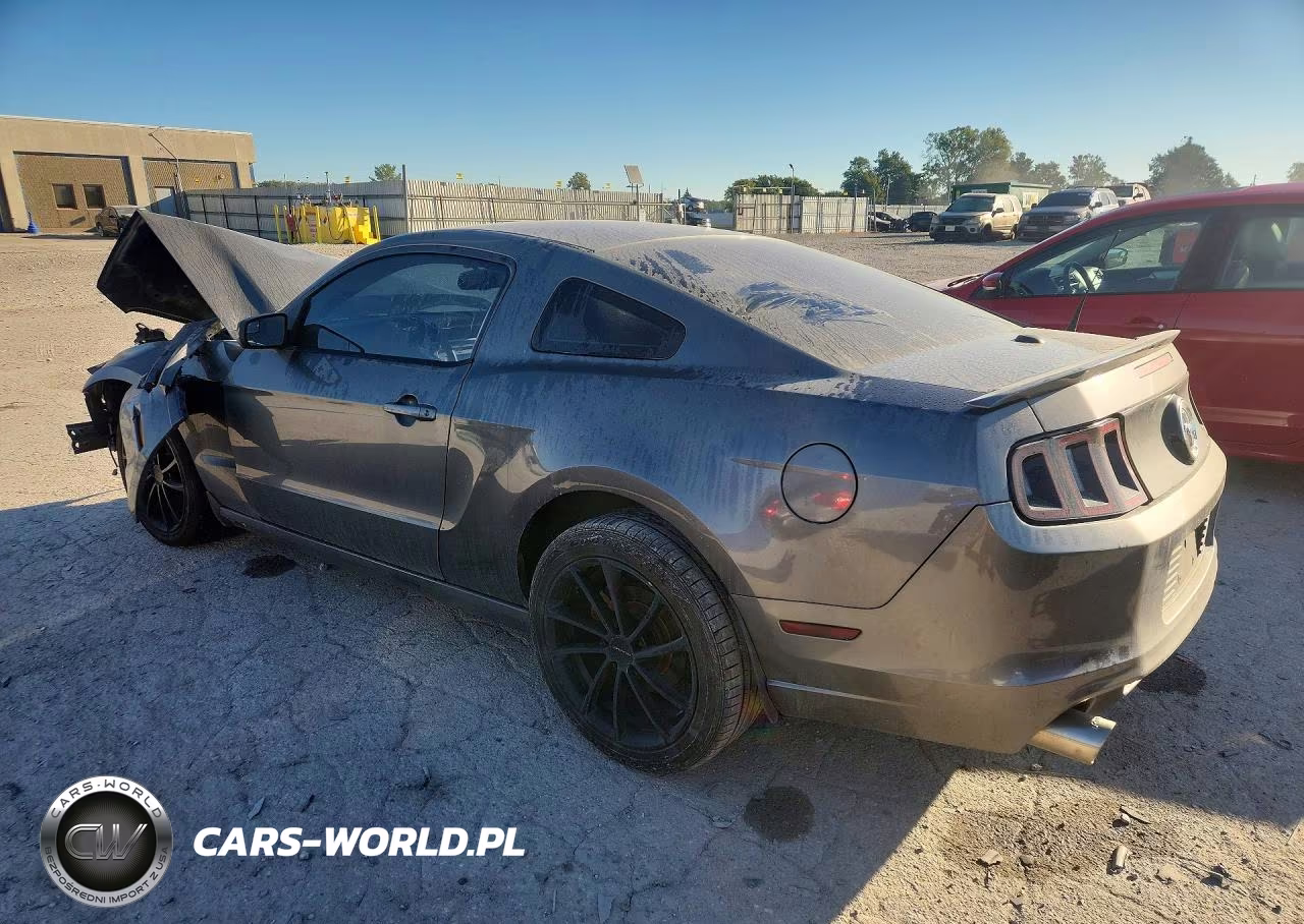 2014 Ford Mustang VIN:1ZVBP8AM4E5219216 - 2