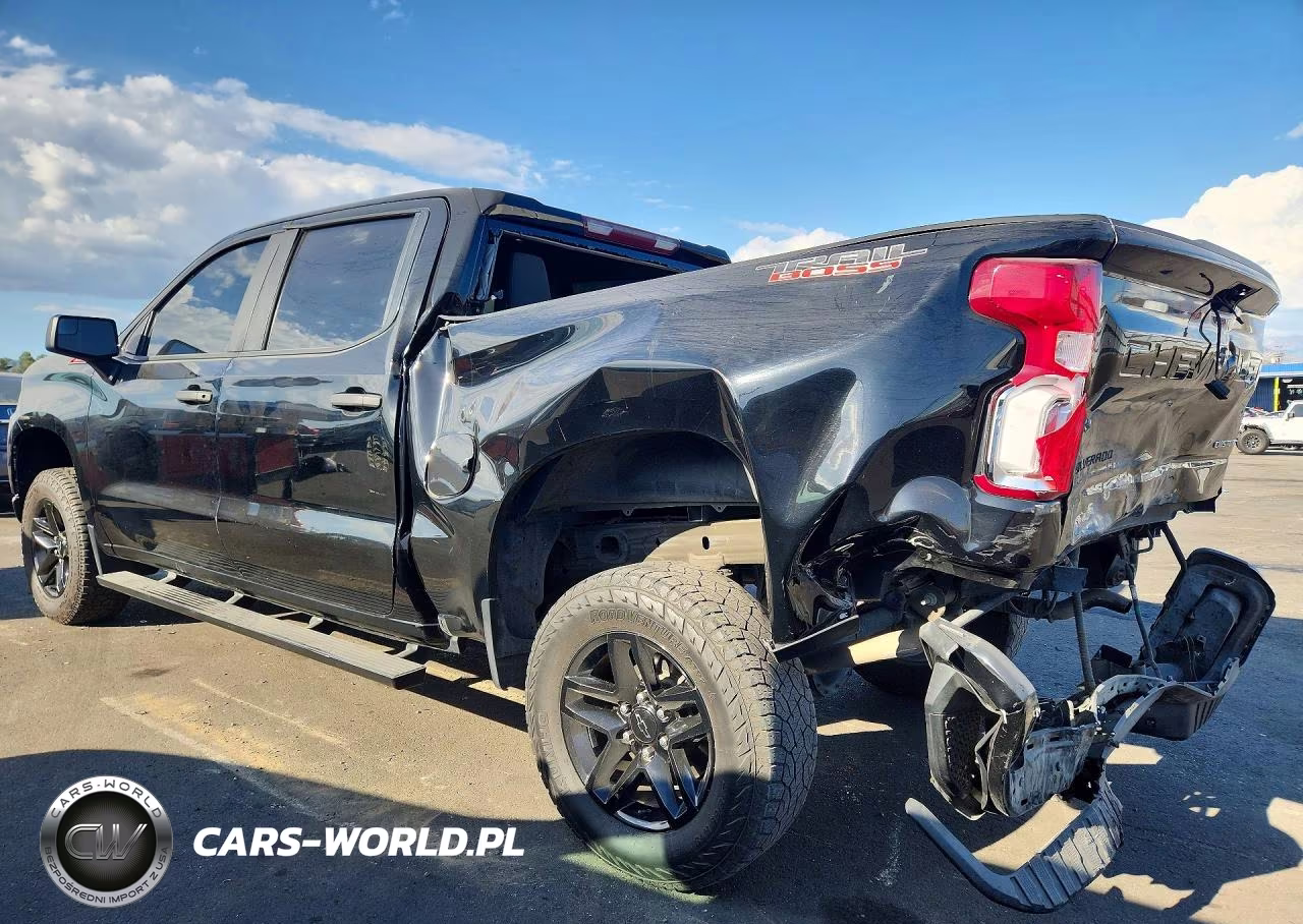 2019 Chevrolet Silverado K1500 Trail Boss Custom VIN:3GCPYCEF2KG231261 - 2