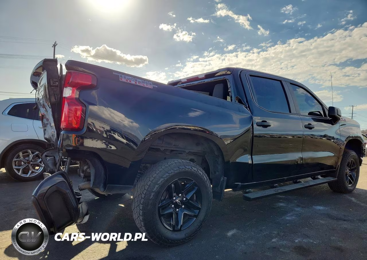 2019 Chevrolet Silverado K1500 Trail Boss Custom VIN:3GCPYCEF2KG231261 - 3