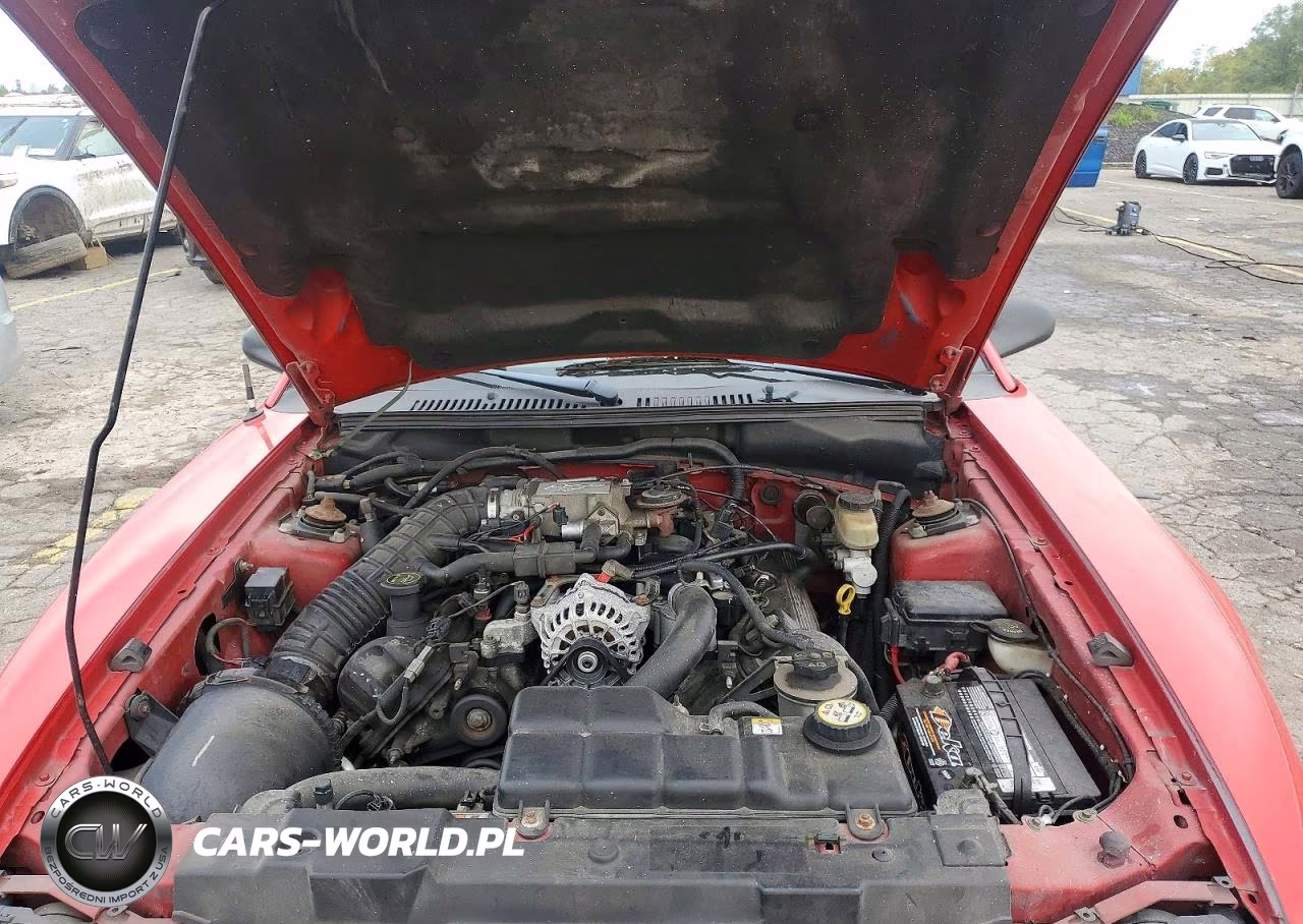 2003 Ford Mustang Gt VIN:1FAFP45XX3F385903 - 11