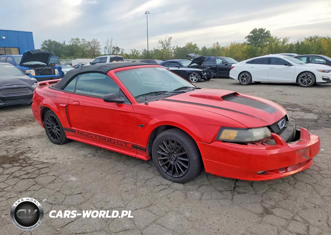 2003 Ford Mustang Gt VIN:1FAFP45XX3F385903 - 4