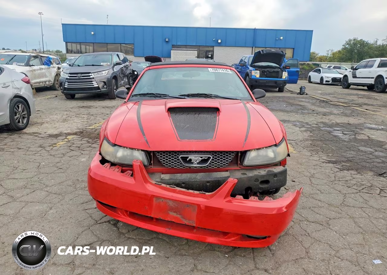 2003 Ford Mustang Gt VIN:1FAFP45XX3F385903 - 5