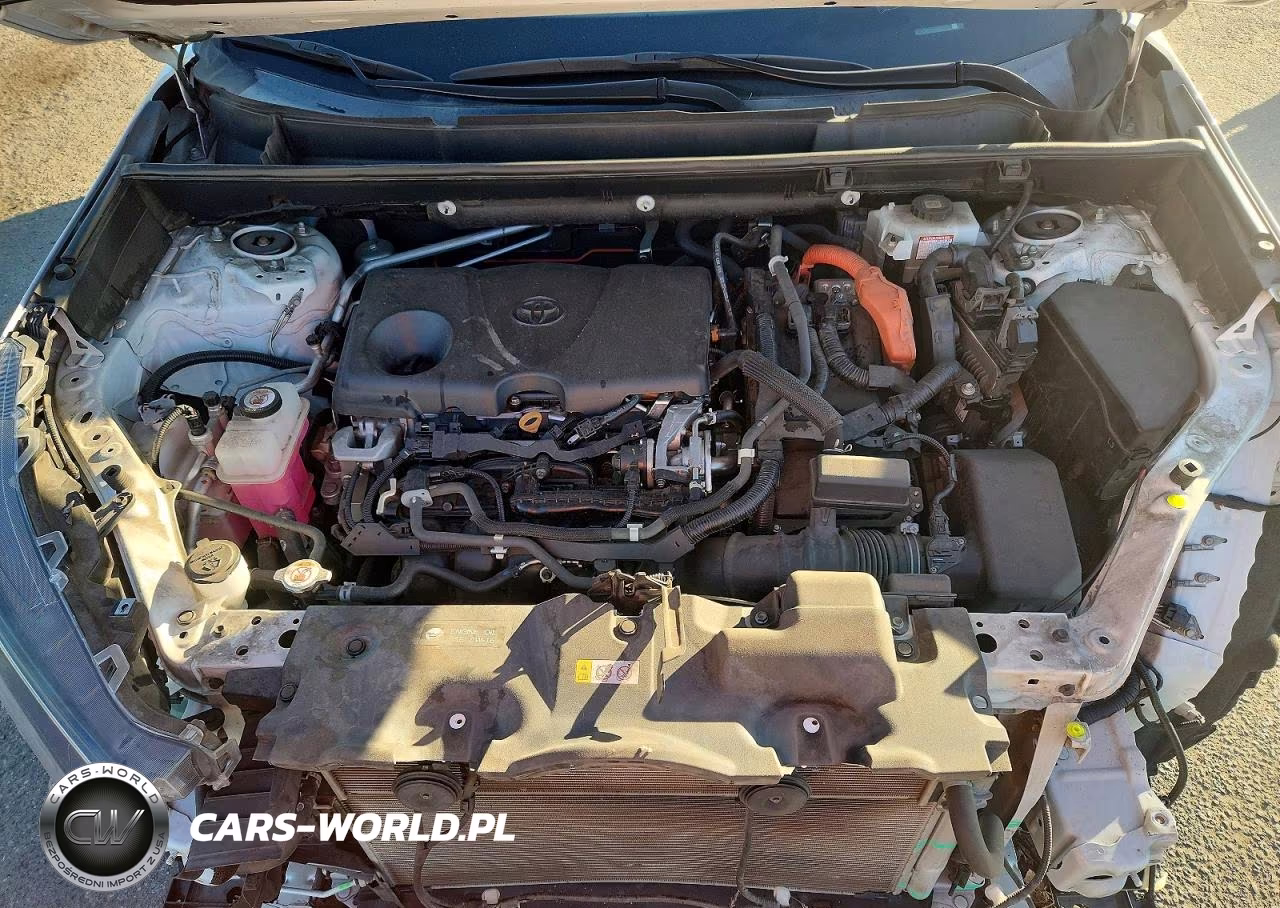 2021 Toyota Rav4 Le VIN:4T3L6RFV9MU009901 - 11