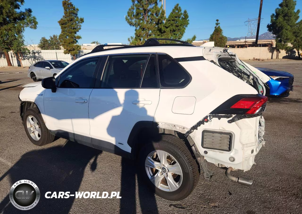 2021 Toyota Rav4 Le VIN:4T3L6RFV9MU009901 - 2