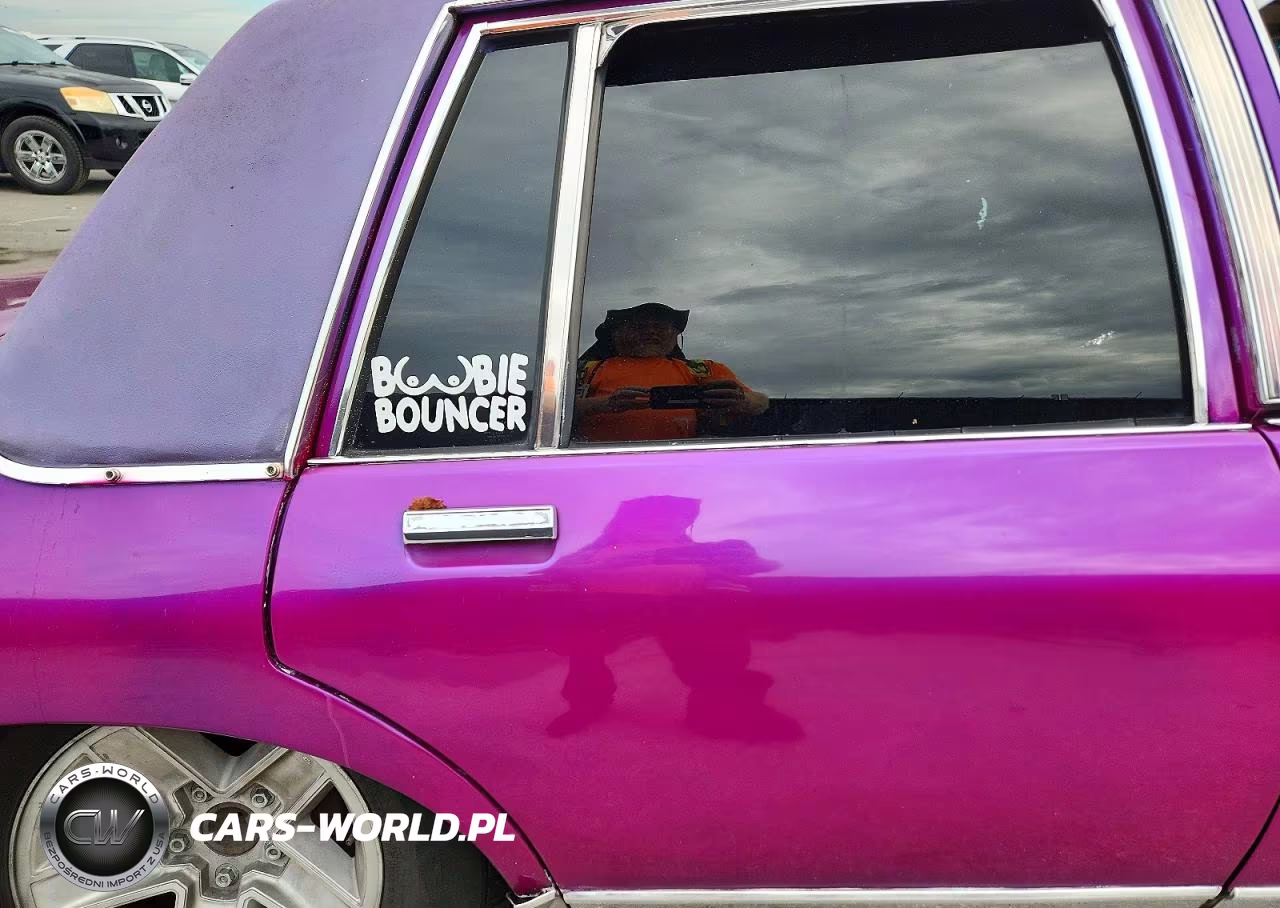 1986 Pontiac Parisienne VIN:1G2BL69Y6GX270755 - 10