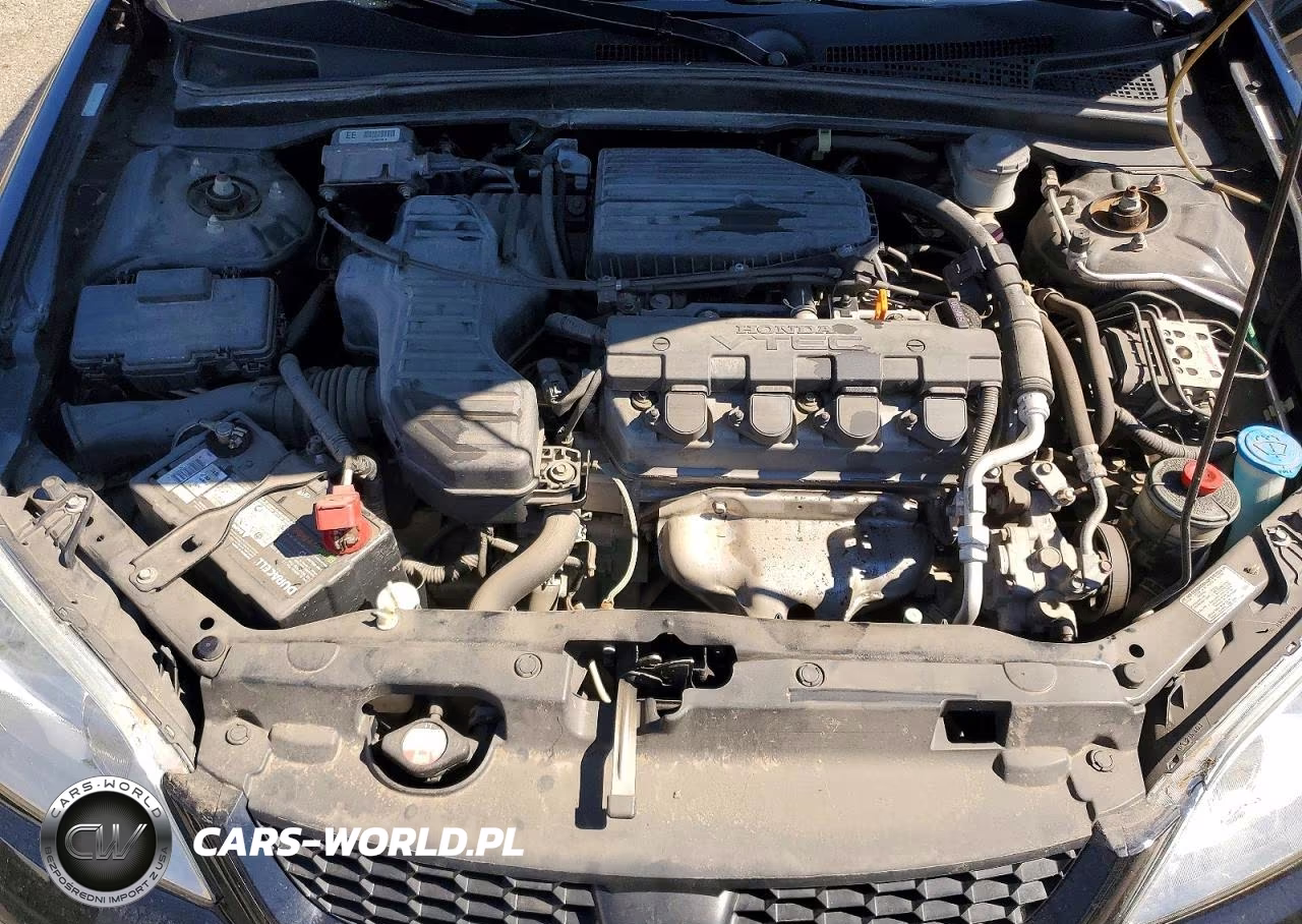 2004 Honda Civic Ex VIN:1HGEM22954L011406 - 11