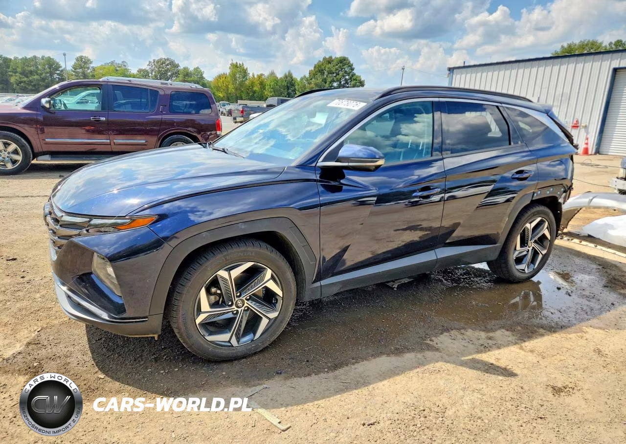 2022 Hyundai Tucson Limited VIN:KM8JE3AE8NU046348 - 1