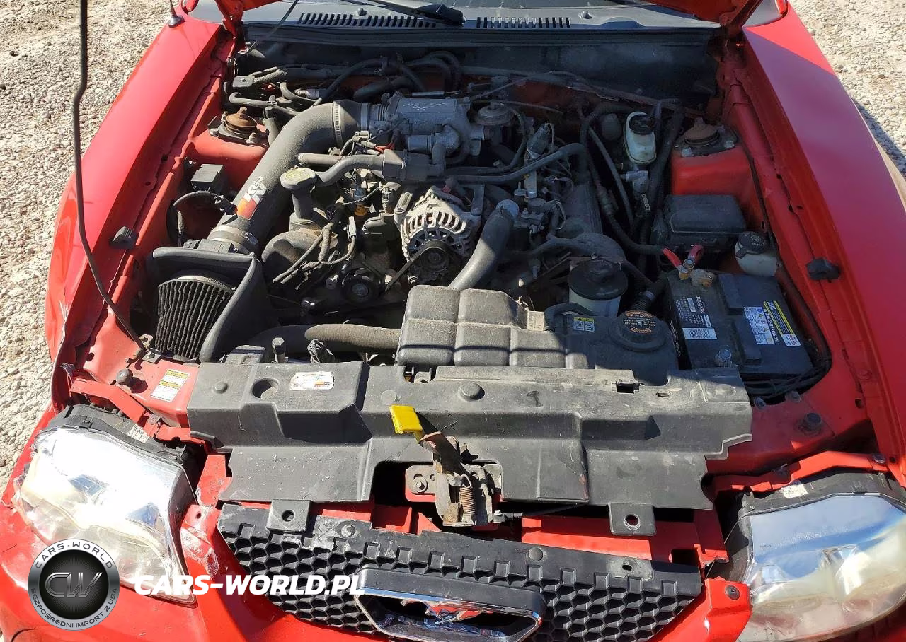 2000 Ford Mustang Gt VIN:1FAFP45X7YF265869 - 11