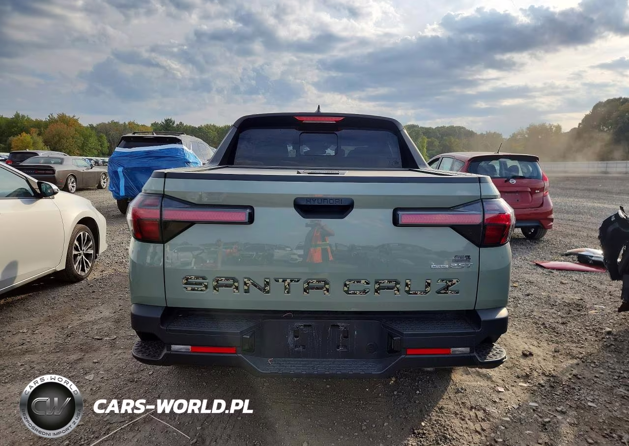 2023 Hyundai Santa Cruz Sel Premium VIN:5NTJDDAFXPH063642 - 6